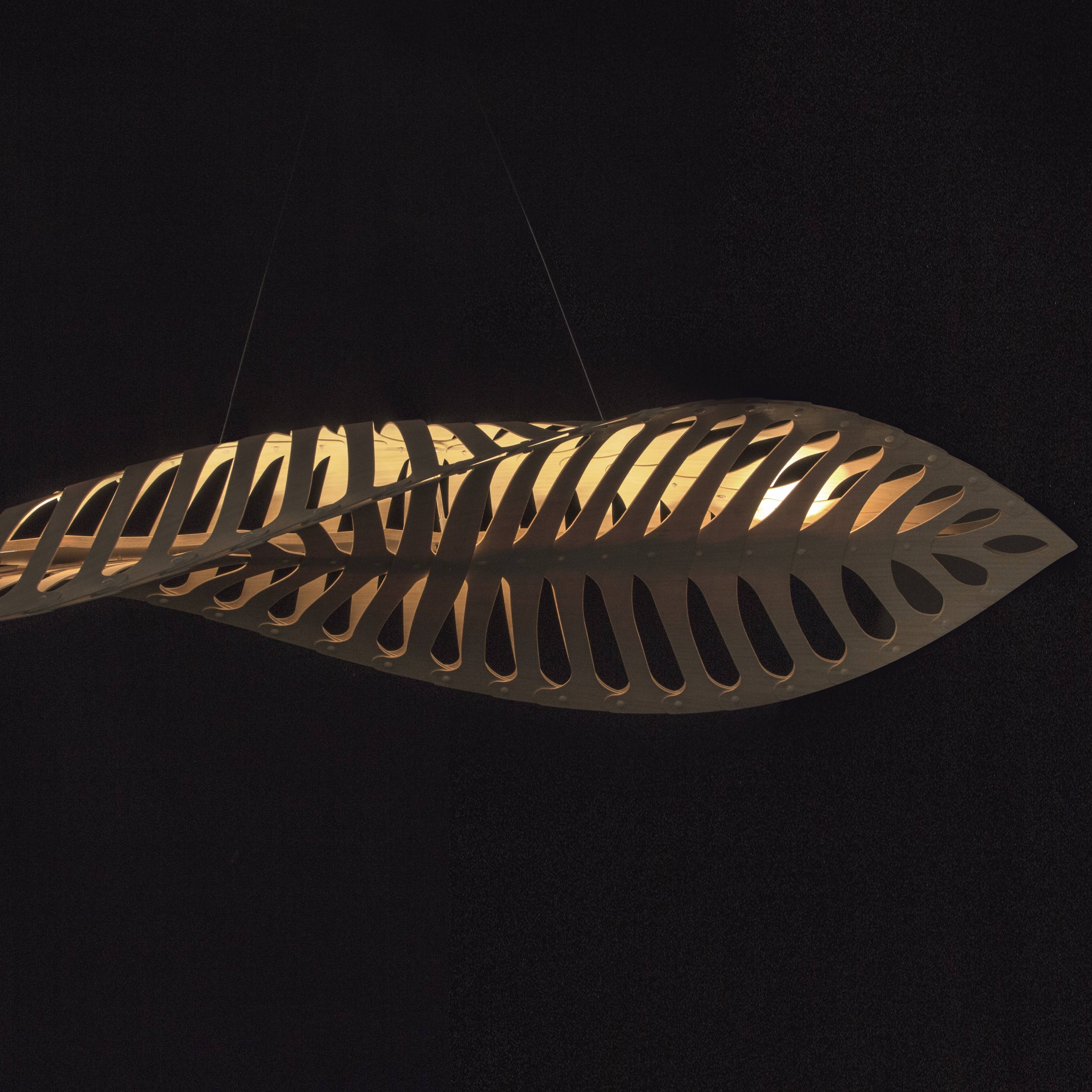 Navicula Pendant Light: LS