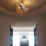 Navicula Pendant Light: LS