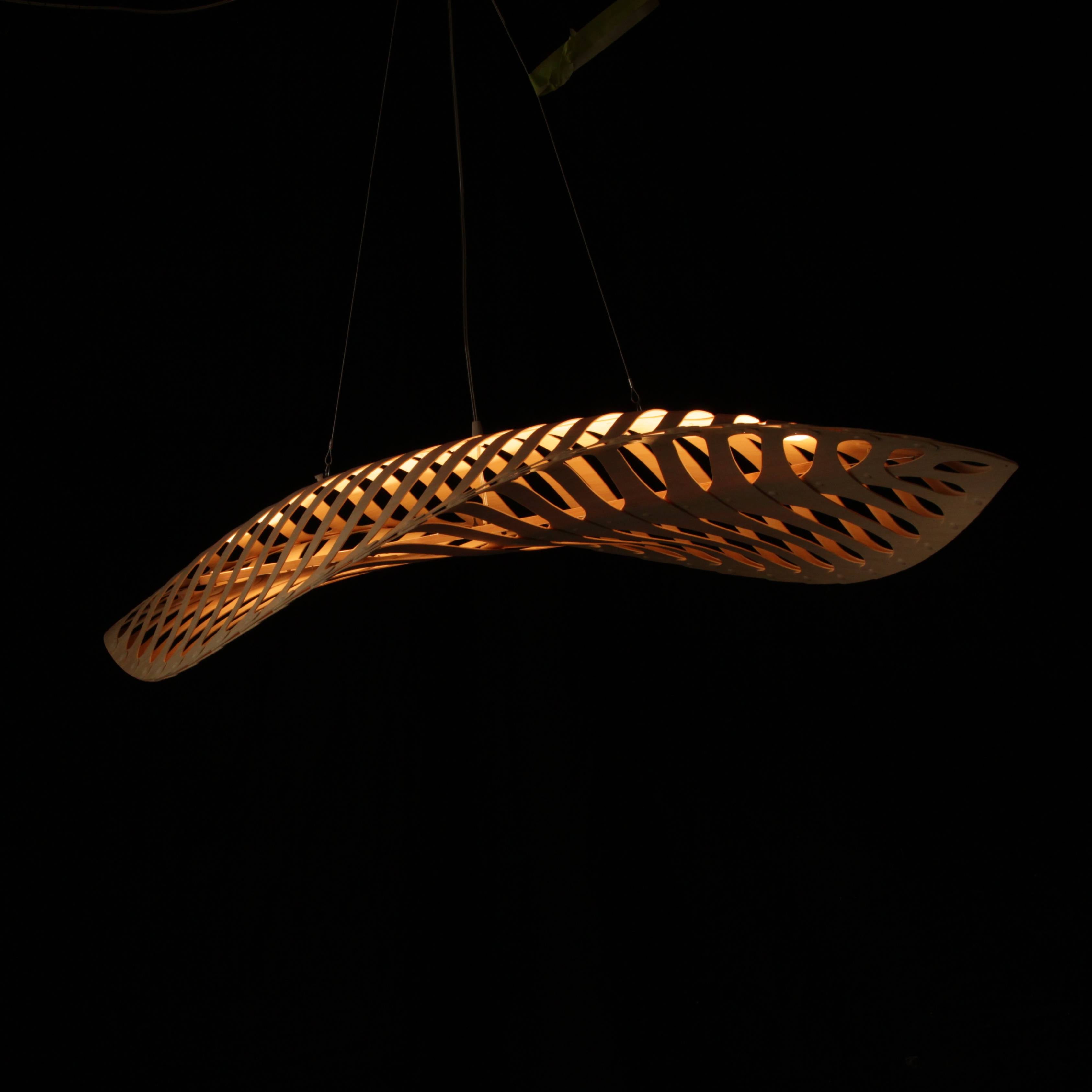 Navicula Pendant Light: LS