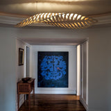 insitu