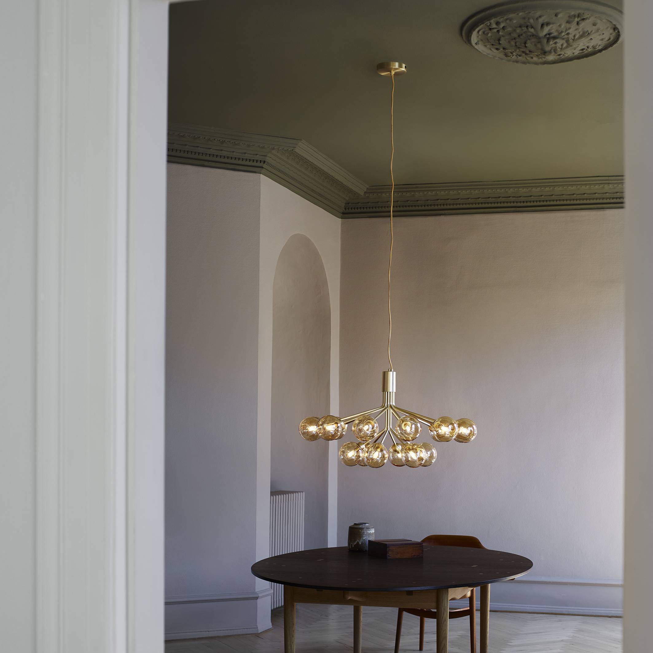 Apiales 18 Chandelier