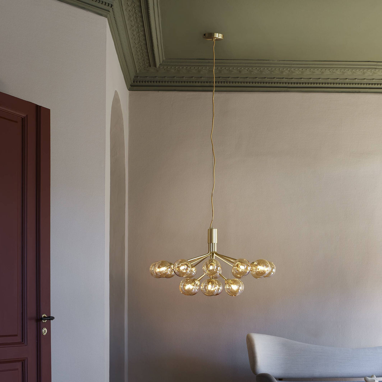 Apiales 18 Chandelier