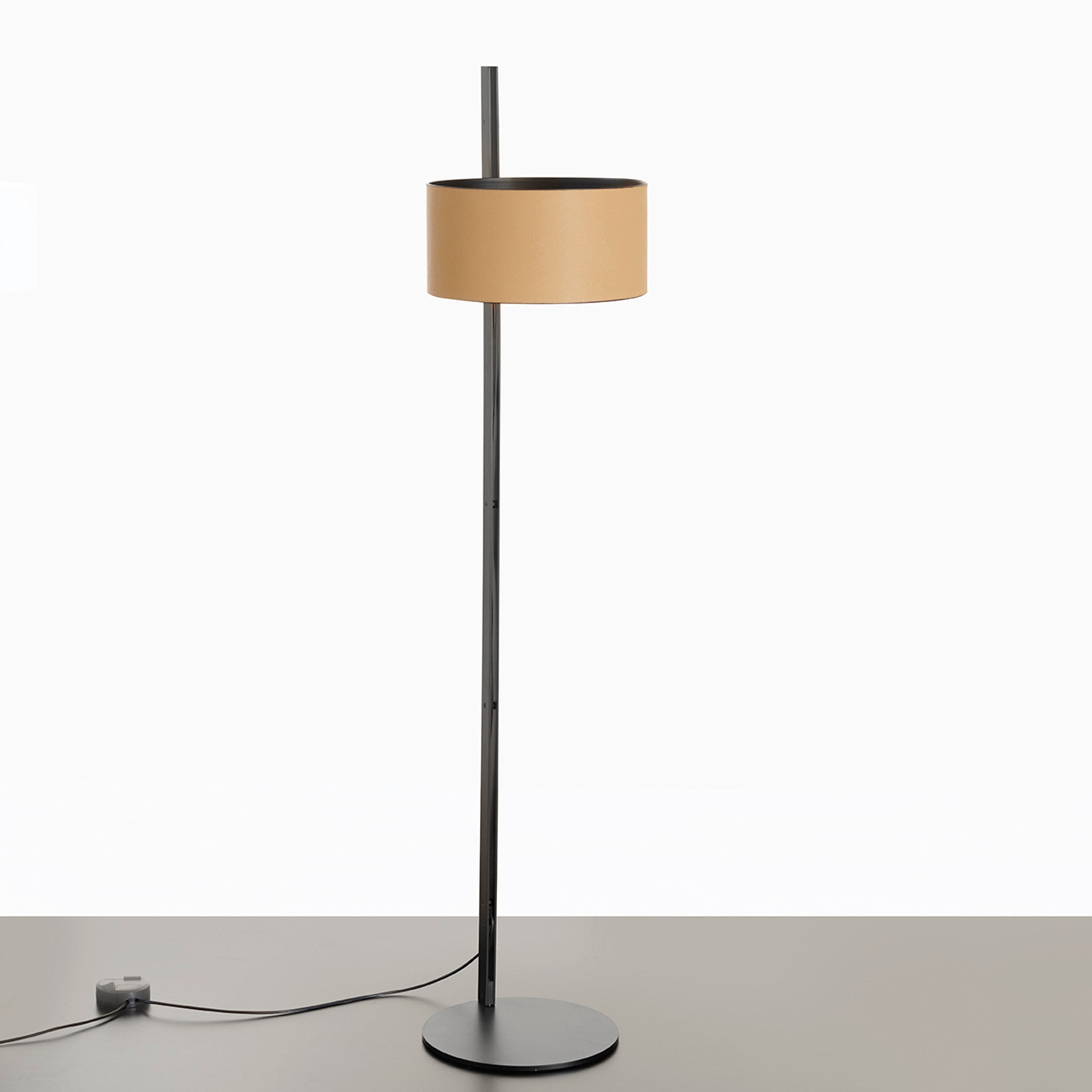 Parallel Floor Lamp