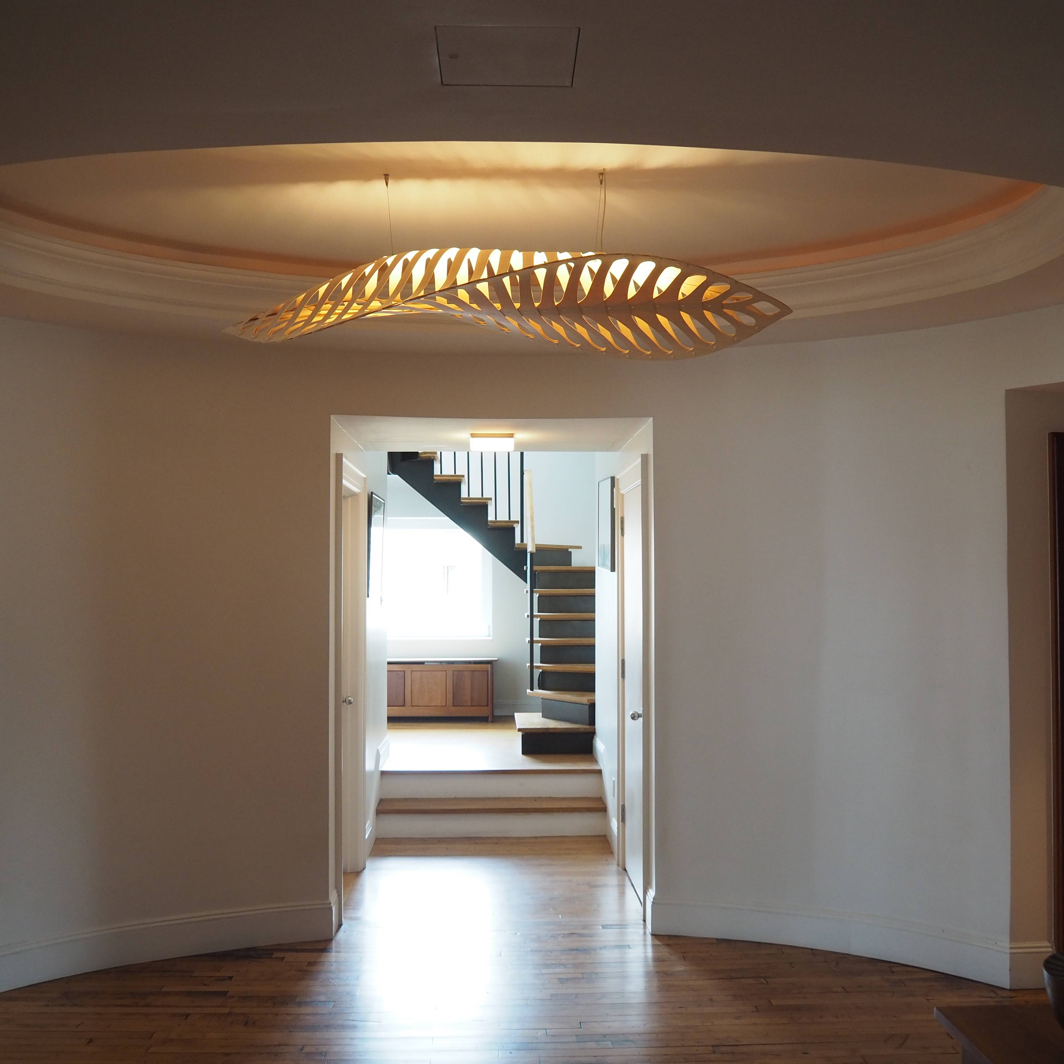 Navicula Pendant Light