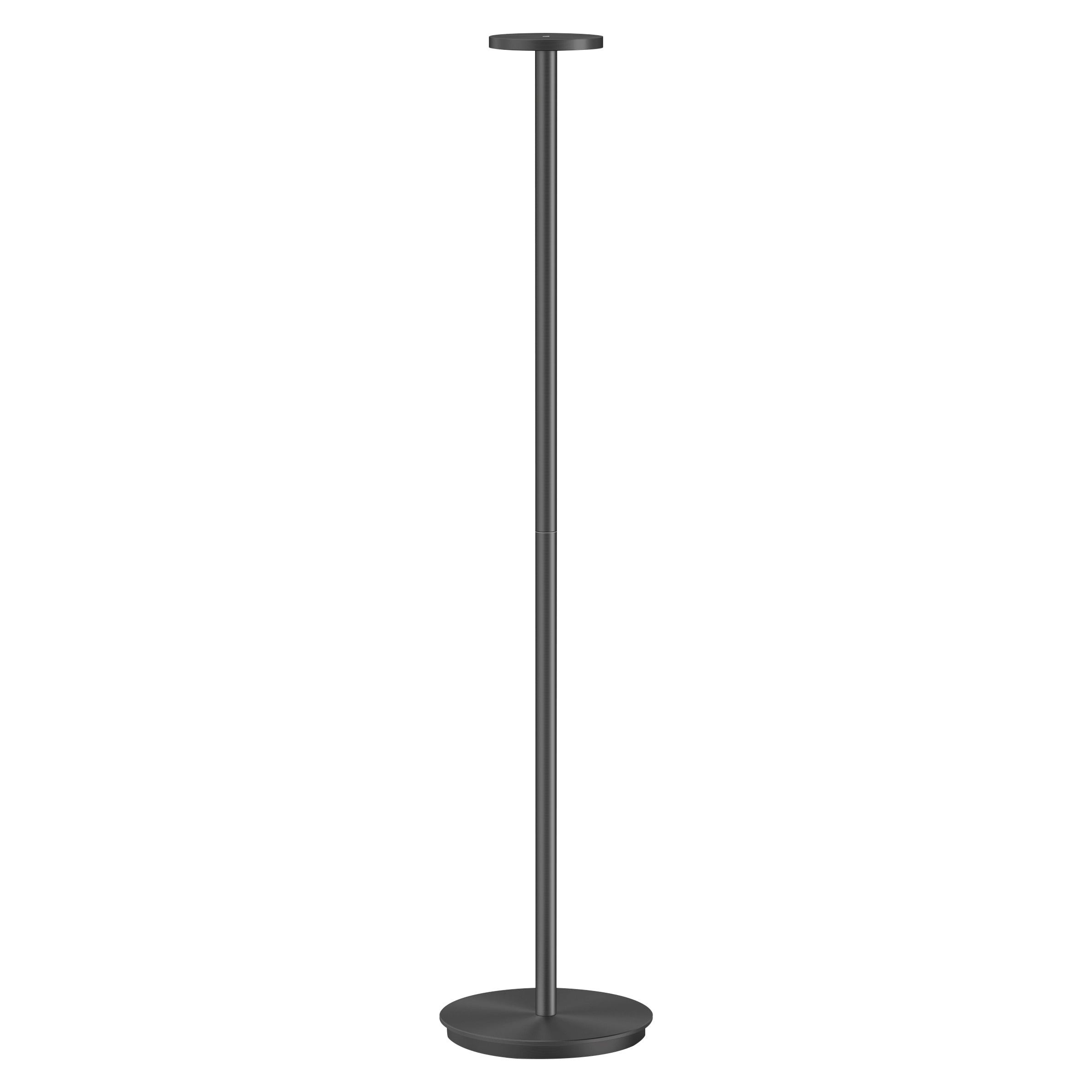 Luci Floor Lamp: Black