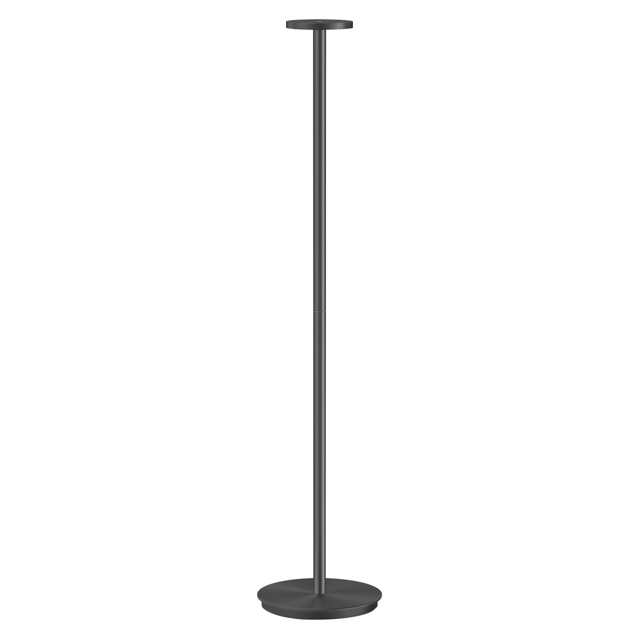 Luci Floor Lamp: Black