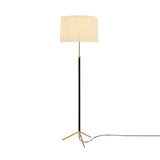 Pie de Salón Floor Lamp: G2 + Polished Brass + Natural