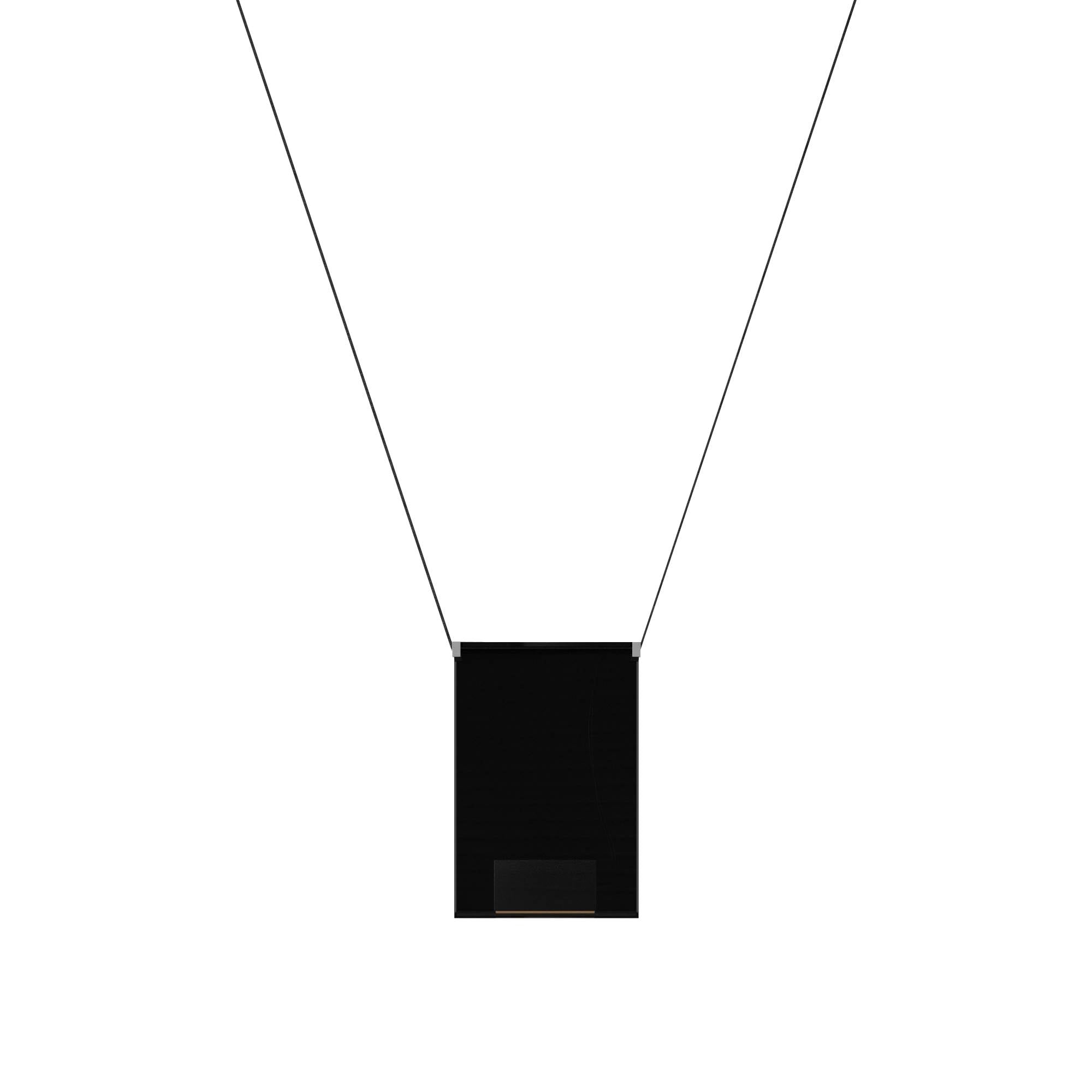 Sainte Atelier 04 Suspension Lamp: Black