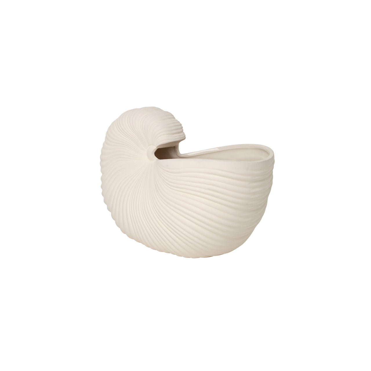 Shell Pot