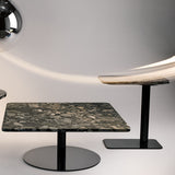 insitu