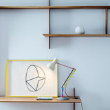 insitu