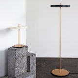 Asteria Floor Lamp