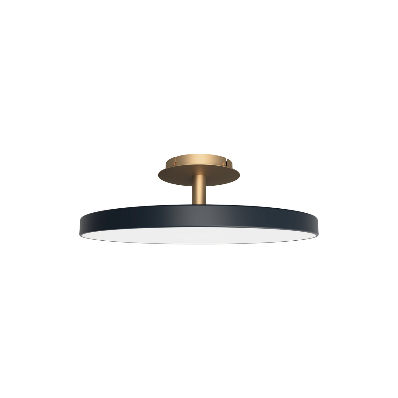 Asteria Up Pendant Light: Anthracite Grey