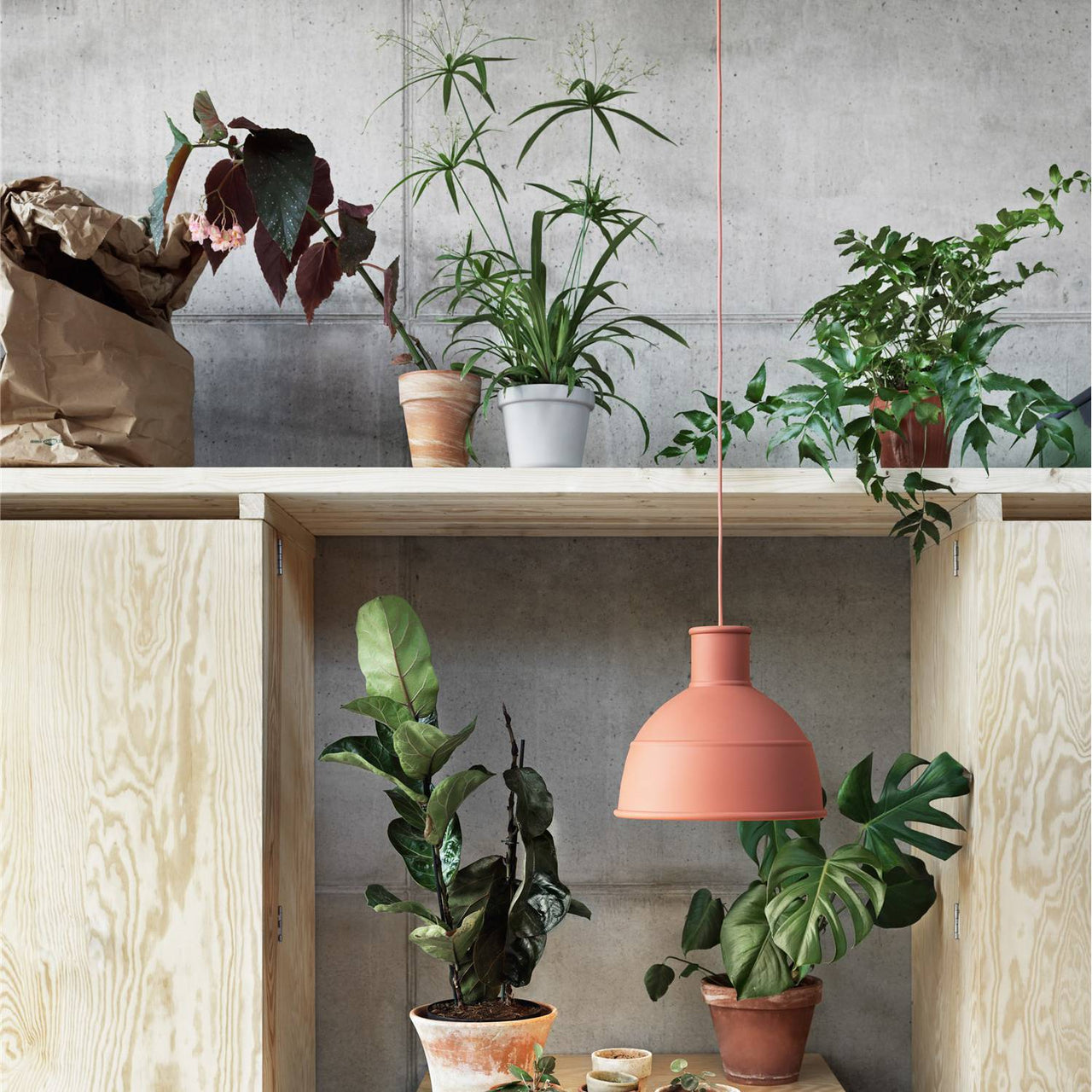 Unfold Pendant Light: LS
