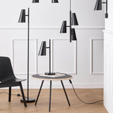 insitu