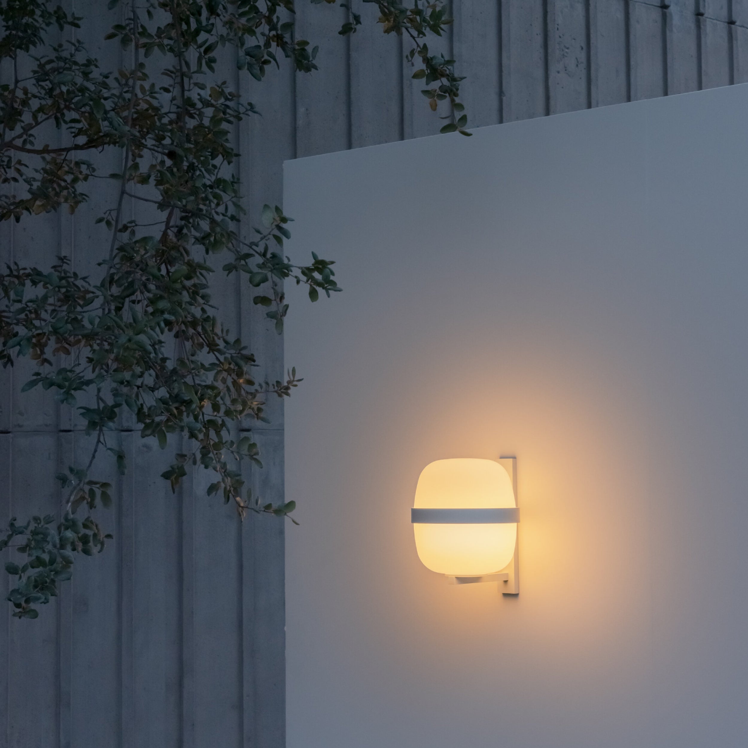 Wally Cesta Wall Lamp