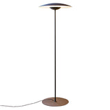 Ginger P Floor Lamp: Wenge