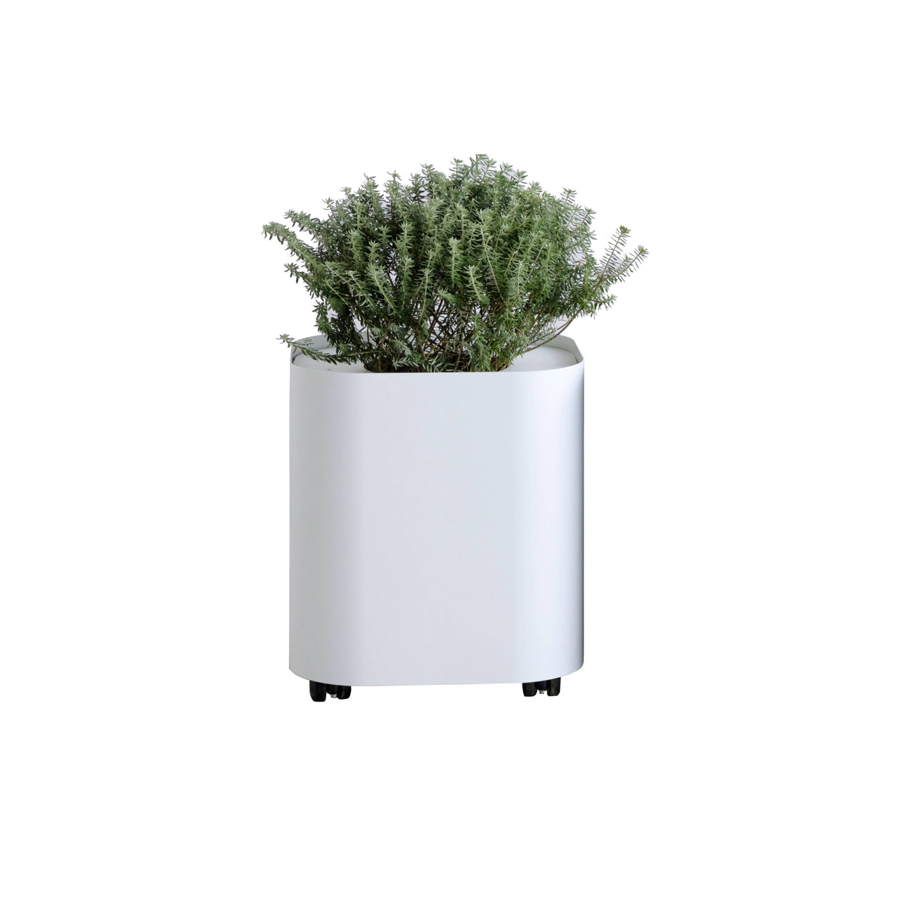 Loaf Planter: White