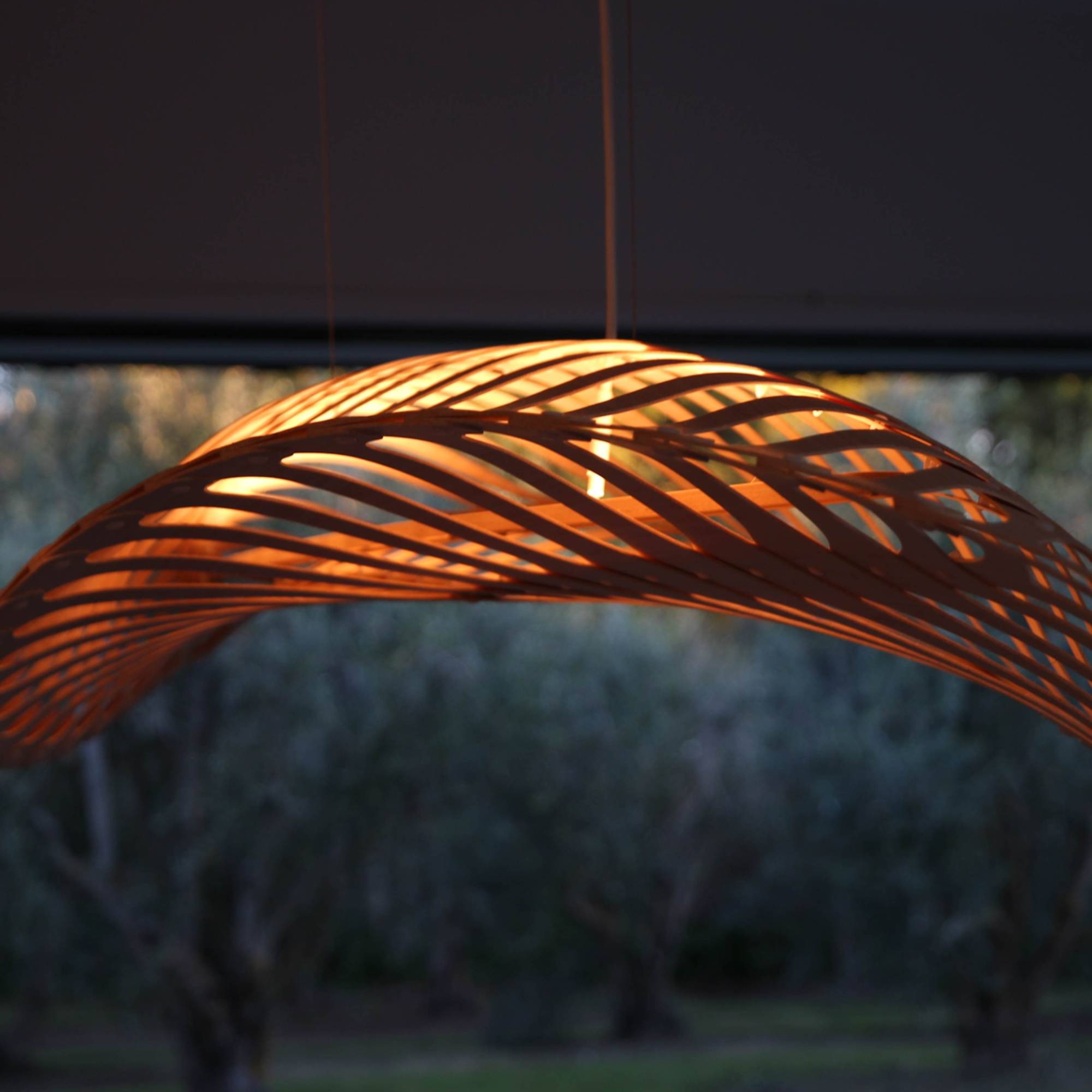 Navicula Pendant Light