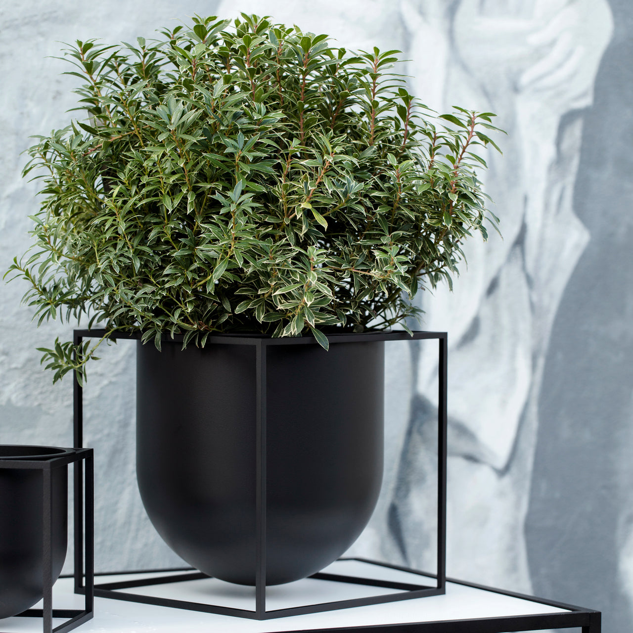 Kubus Flowerpot: Quick Ship