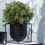 Kubus Flowerpot: Quick Ship