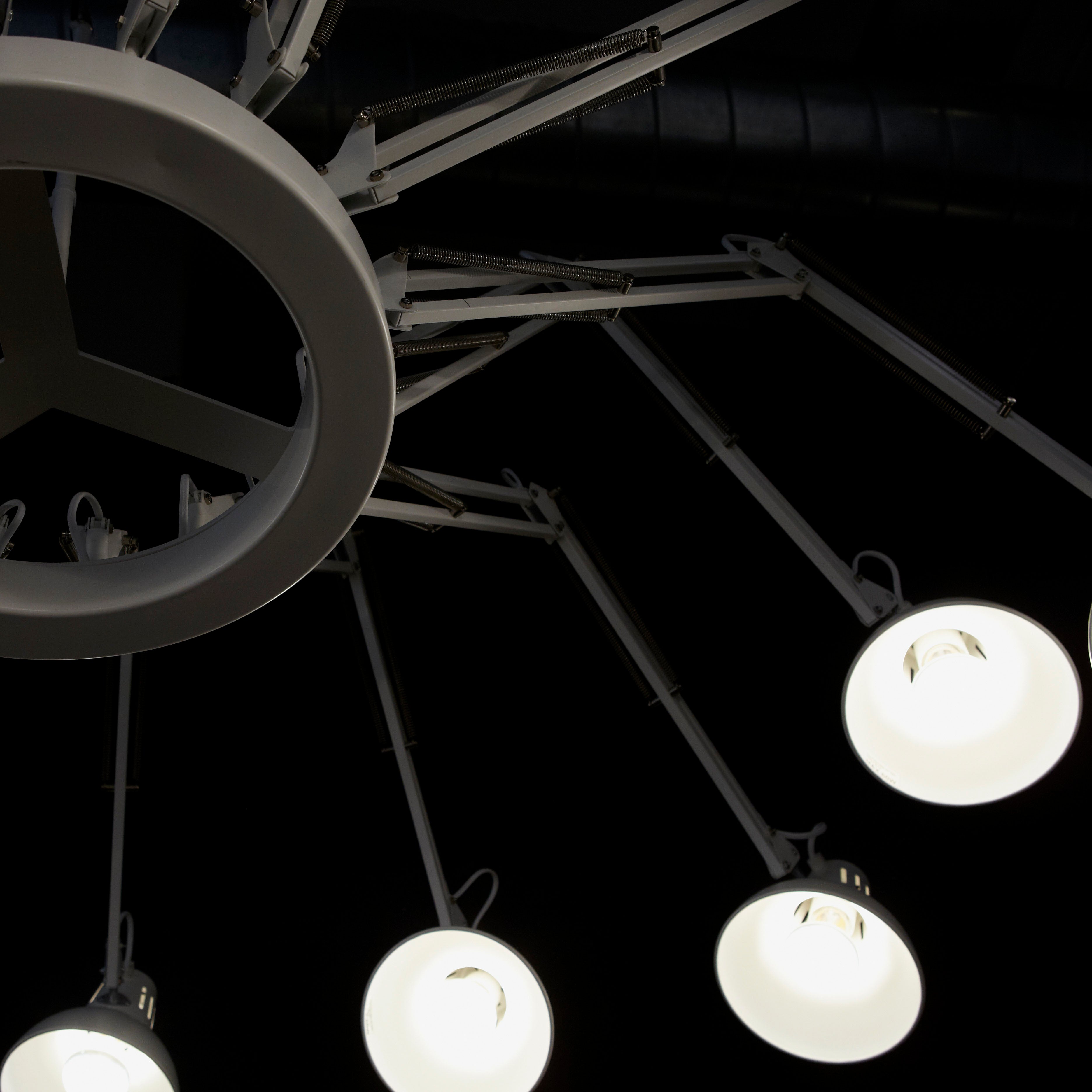 Dear Ingo Suspension Lamp