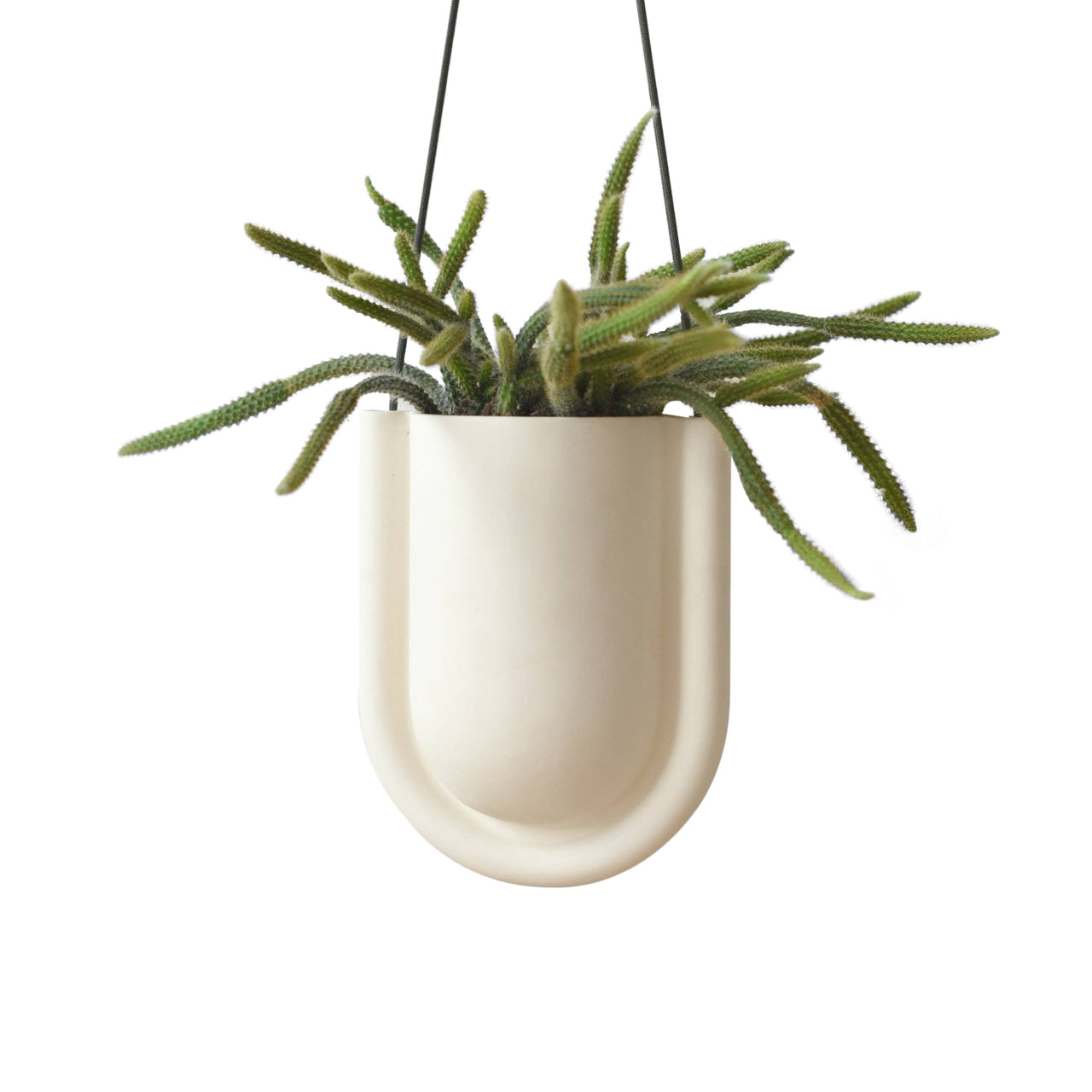 Portico Planter: White