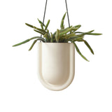 Portico Planter: White