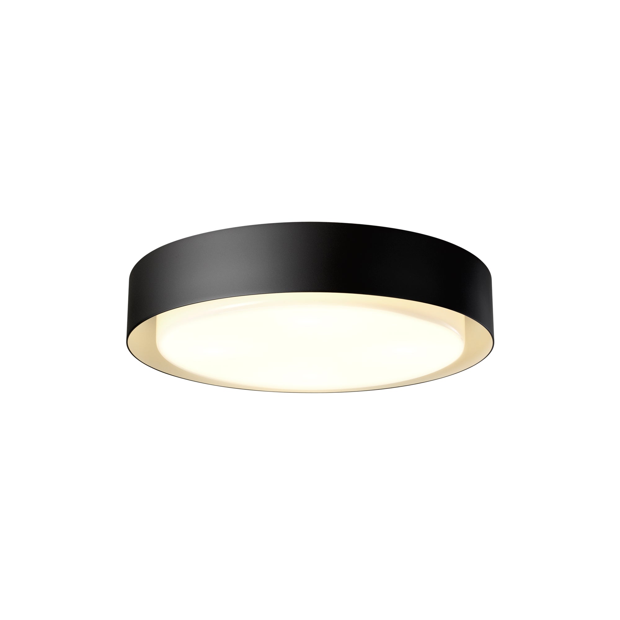 Plaff-On! Wall/Ceiling Light:  Large - 19.7