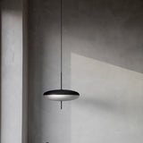 Model 2065 Suspension Lamp