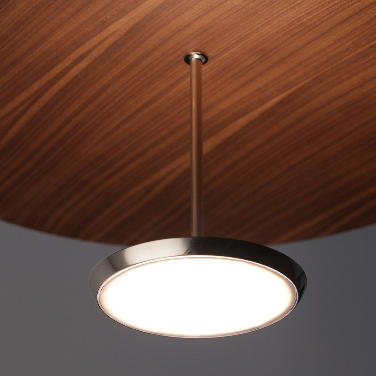 Sky Dome Pendant Light: Wood