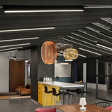 insitu